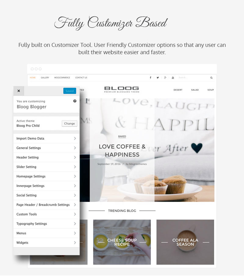 Bloog Pro WP theme feature - Fully customizer based