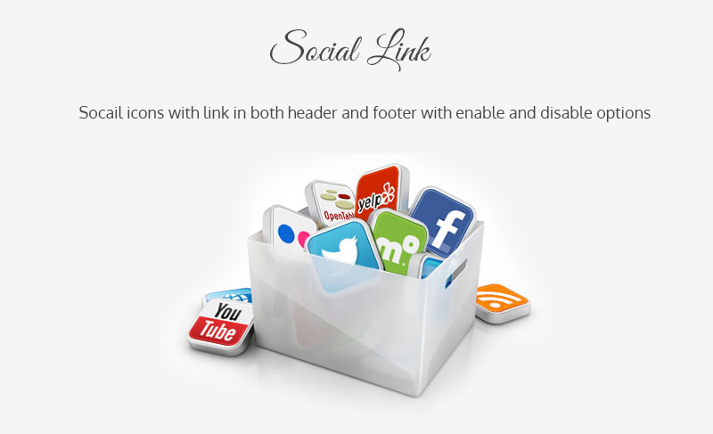 Bloog Pro WP theme feature - Social Link