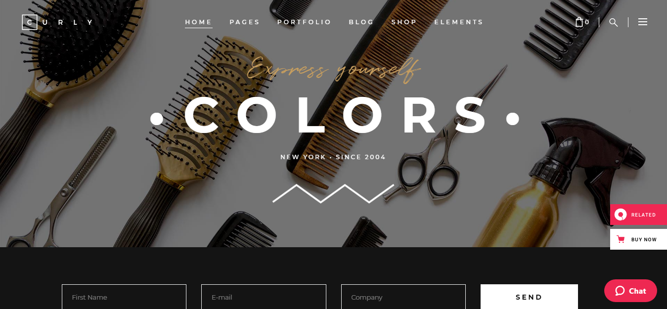 Curly – Best Hairdresser WordPress Theme