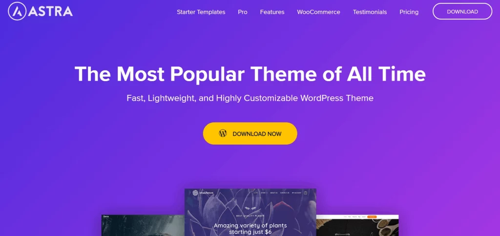 Astra - Best Free Mobile App WordPress Themes