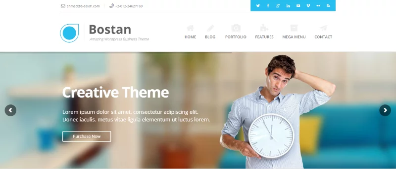 Best Premium WordPress Business themes for 2017