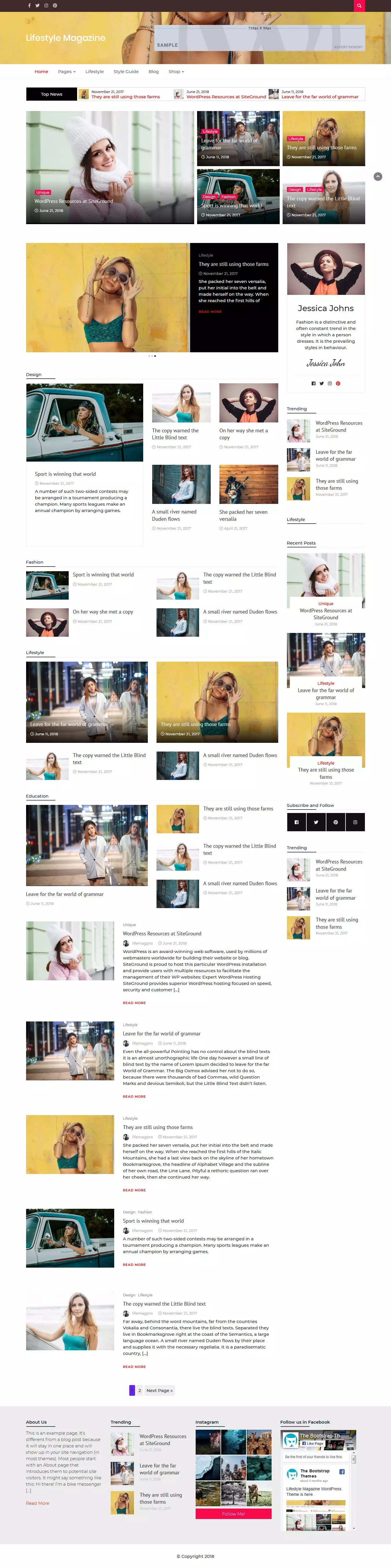 Lifestyle Magazine – Best Free Feminine WordPress Theme