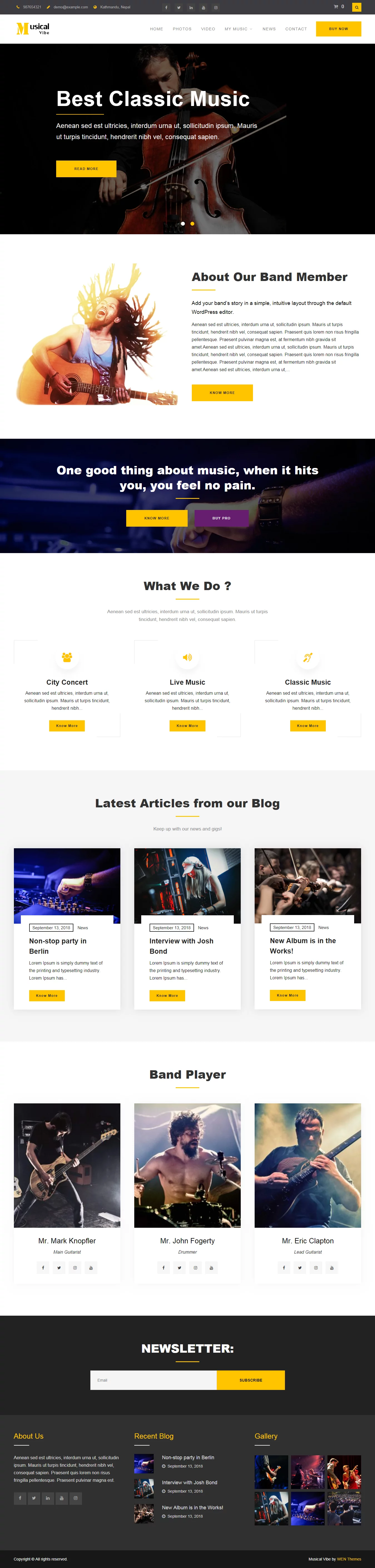 Music Vibe - Best Free Video and Music WordPress Theme