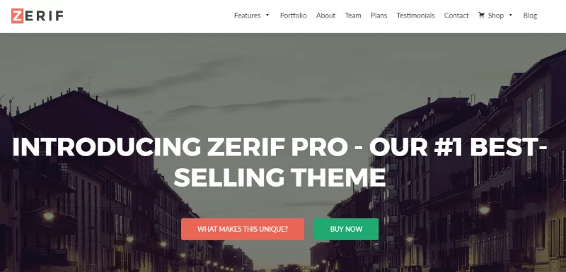 Best Premium WordPress Business themes for 2017